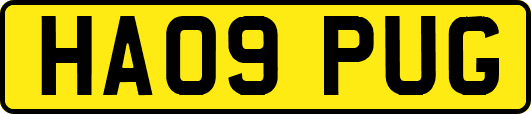 HA09PUG