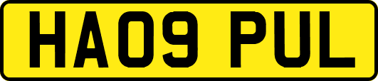 HA09PUL