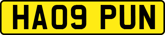 HA09PUN