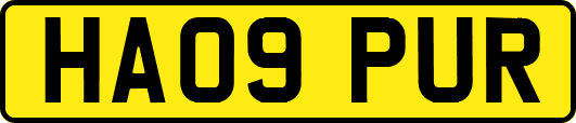HA09PUR