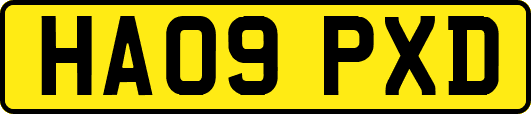 HA09PXD