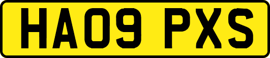 HA09PXS