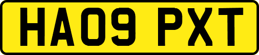 HA09PXT