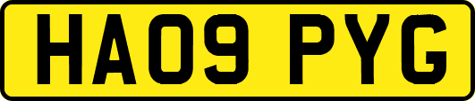 HA09PYG
