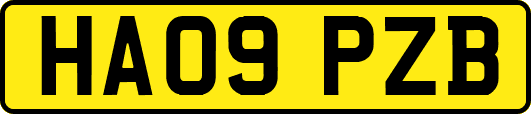 HA09PZB