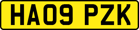 HA09PZK