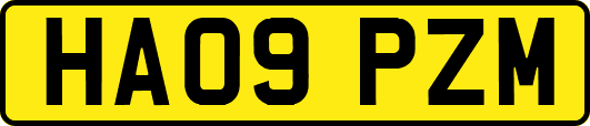 HA09PZM
