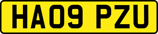 HA09PZU