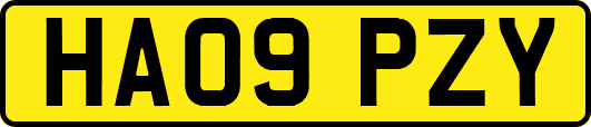 HA09PZY