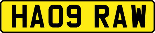 HA09RAW