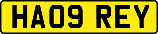HA09REY