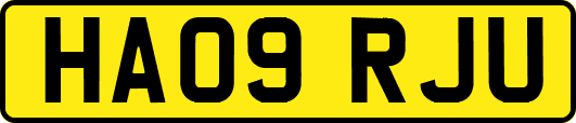 HA09RJU