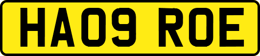 HA09ROE