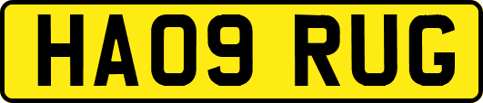 HA09RUG