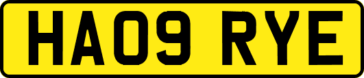 HA09RYE