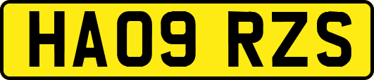 HA09RZS