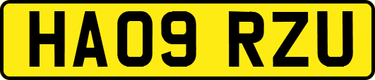 HA09RZU