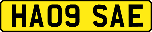 HA09SAE