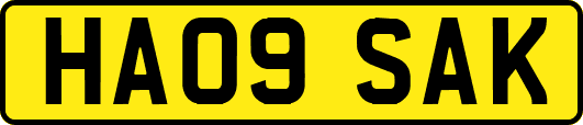 HA09SAK