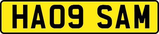 HA09SAM