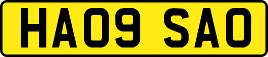 HA09SAO