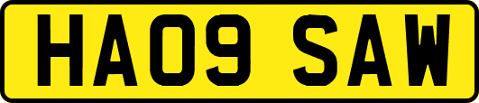 HA09SAW