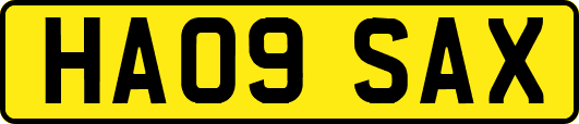 HA09SAX