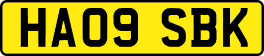 HA09SBK