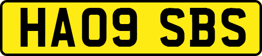 HA09SBS