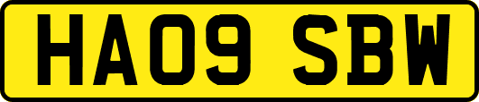 HA09SBW