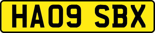 HA09SBX
