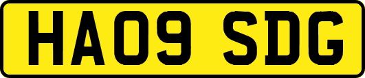 HA09SDG