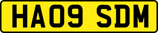 HA09SDM