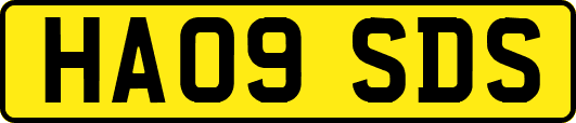 HA09SDS
