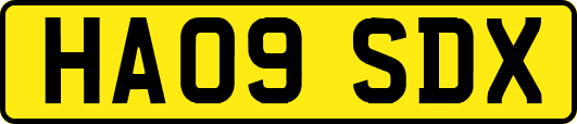 HA09SDX