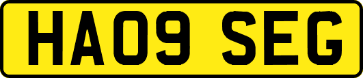 HA09SEG