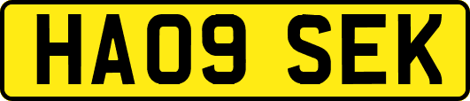 HA09SEK