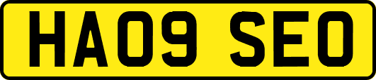 HA09SEO