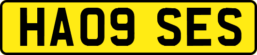 HA09SES