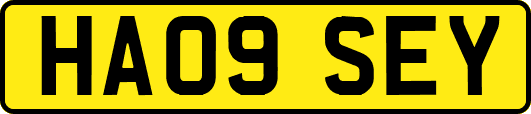 HA09SEY
