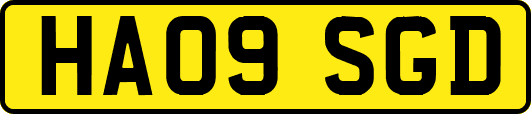 HA09SGD
