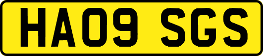 HA09SGS