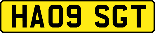 HA09SGT