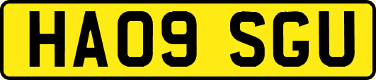 HA09SGU