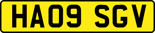 HA09SGV