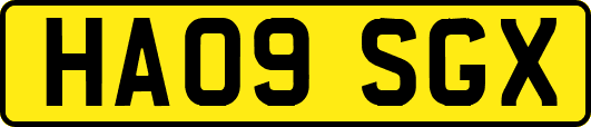 HA09SGX
