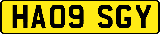 HA09SGY