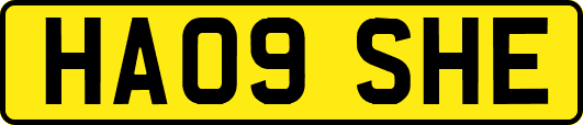 HA09SHE