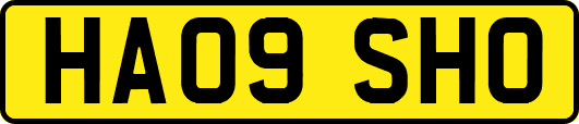 HA09SHO