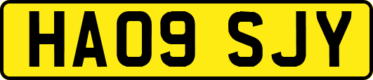 HA09SJY